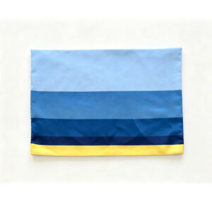 Aircraft Pillow Cover