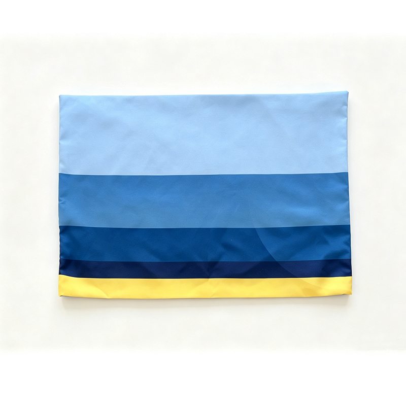 Aircraft Pillow Cover