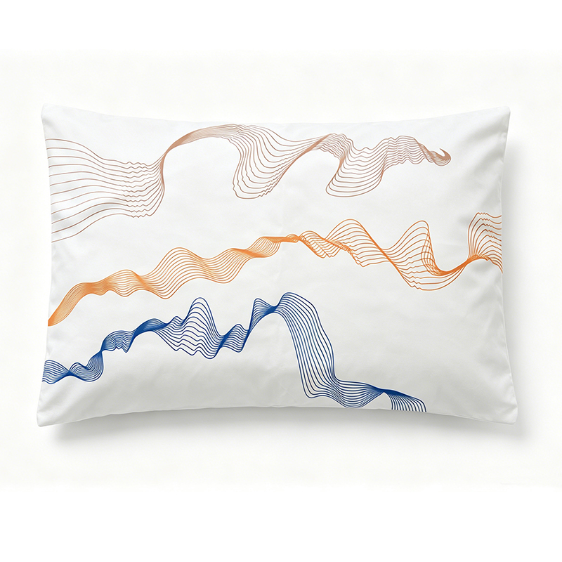 Aircraft Pillow Cover