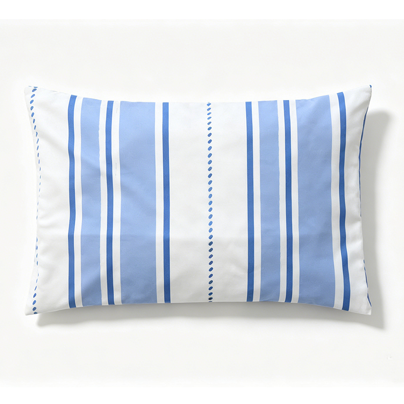 Aircraft Pillow Cover