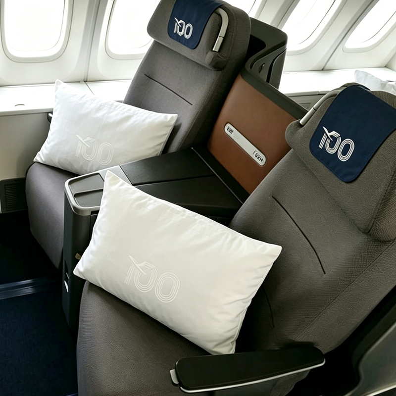 Aircraft headrest covers