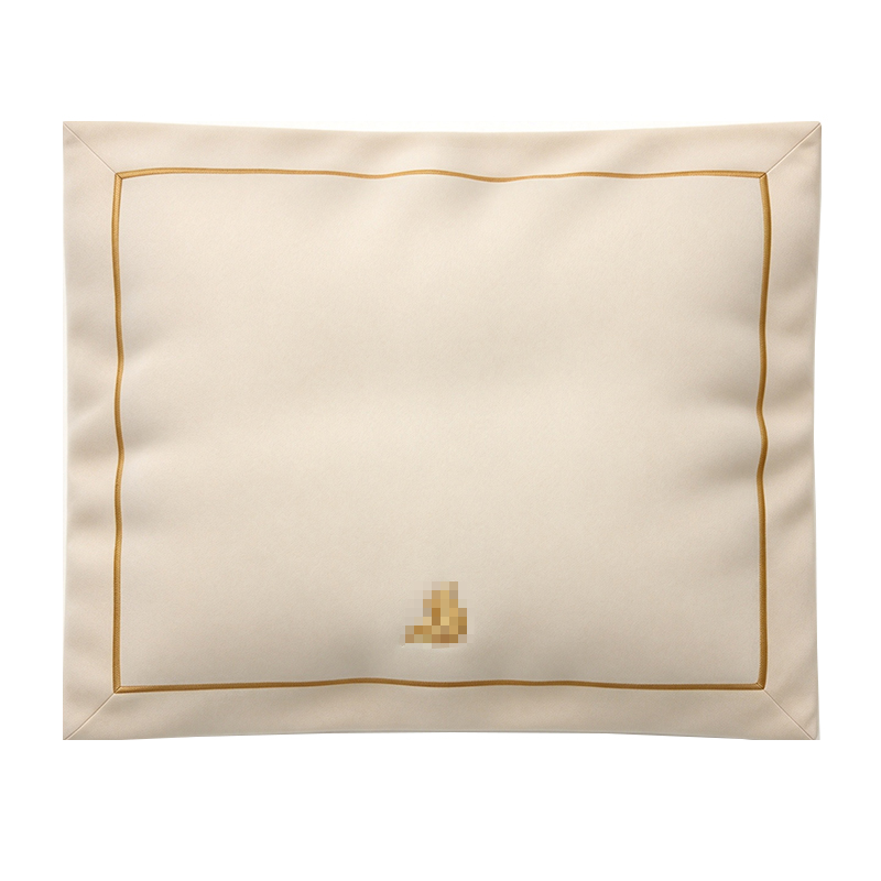 Aircraft Pillow Cover